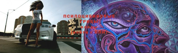 мескалин Белокуриха