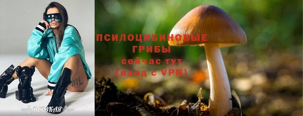 гашишное масло Богородицк
