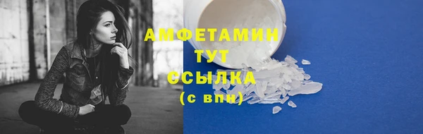 сатива Зеленодольск