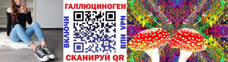 цена   Верещагино  Псилоцибиновые грибы мицелий 